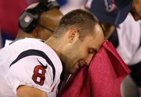 Schaub